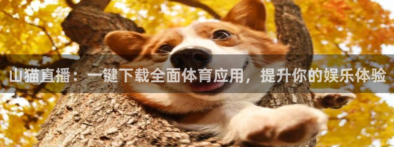 山猫直播：一键下载全面体育应用，提升你的娱乐体验