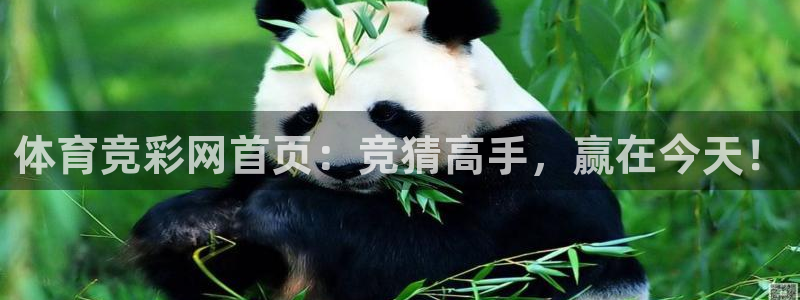 体育竞彩网首页：竞猜高手，赢在今天！