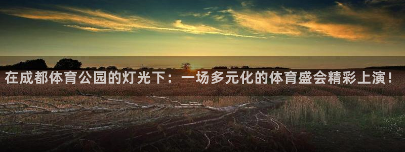 在成都体育公园的灯光下：一场多元化的体育盛会精彩上演！