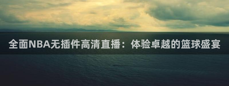 全面NBA无插件高清直播：体验卓越的篮球盛宴