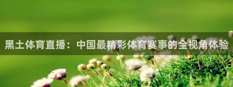 黑土体育直播：中国最精彩体育赛事的全视角体验