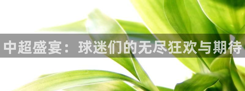 中超盛宴：球迷们的无尽狂欢与期待