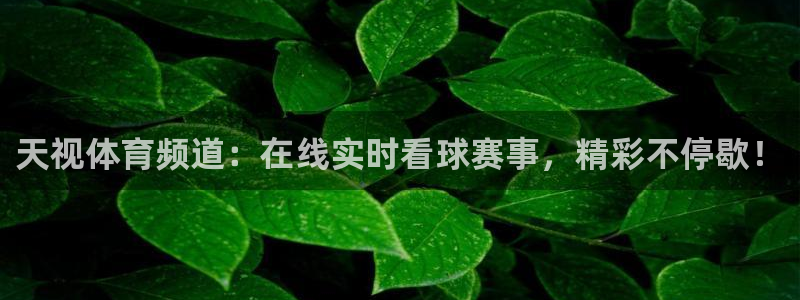 天视体育频道：在线实时看球赛事，精彩不停歇！