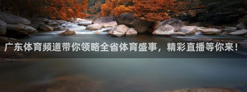 广东体育频道带你领略全省体育盛事，精彩直播等你来！