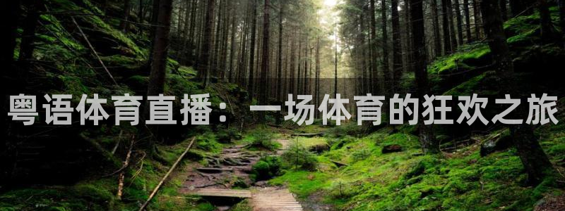 粤语体育直播：一场体育的狂欢之旅