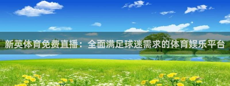 新英体育免费直播：全面满足球迷需求的体育娱乐平台