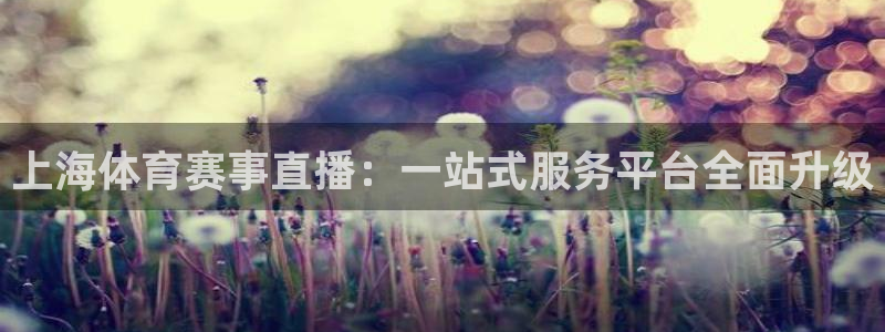上海体育赛事直播：一站式服务平台全面升级