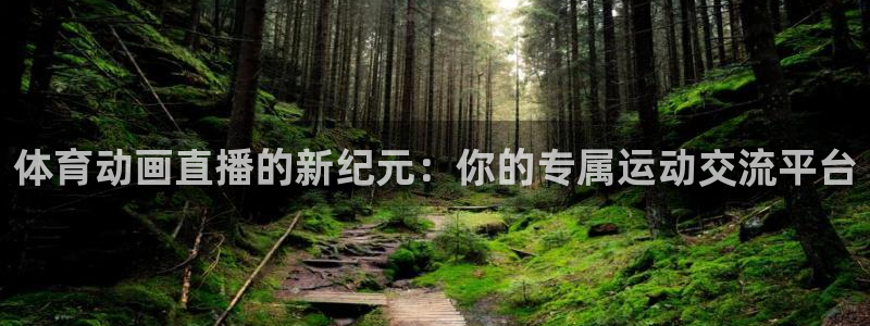 体育动画直播的新纪元：你的专属运动交流平台