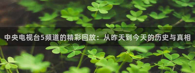 中央电视台5频道的精彩回放：从昨天到今天的历史与真相