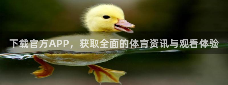 下载官方APP，获取全面的体育资讯与观看体验