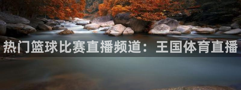 热门篮球比赛直播频道：王国体育直播