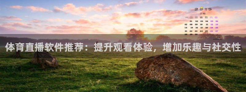 体育直播软件推荐：提升观看体验，增加乐趣与社交性