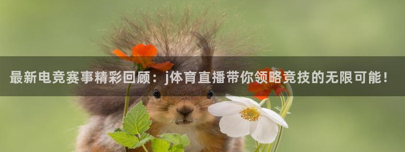最新电竞赛事精彩回顾：j体育直播带你领略竞技的无限可能！