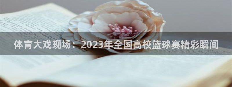 体育大戏现场：2023年全国高校篮球赛精彩瞬间