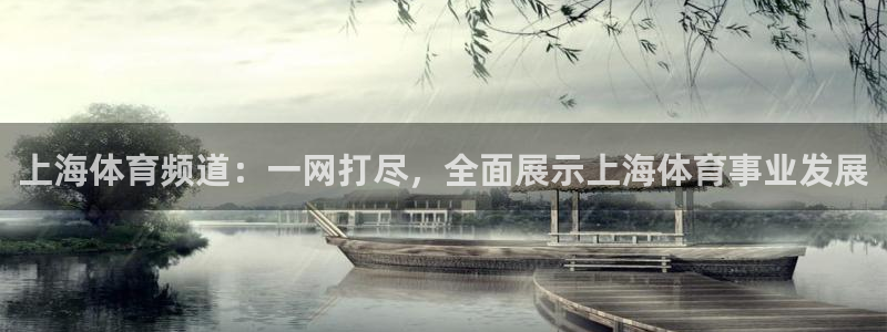 上海体育频道：一网打尽，全面展示上海体育事业发展