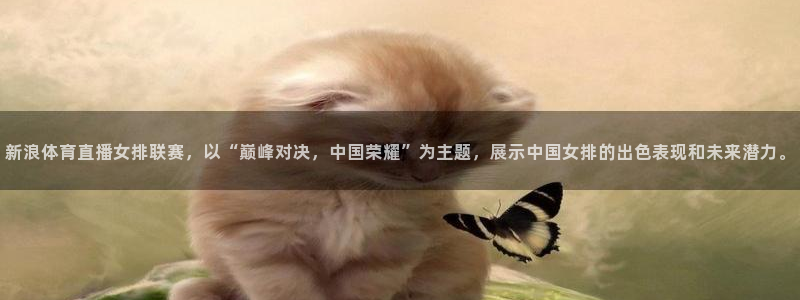 新浪体育直播女排联赛，以“巅峰对决，中国荣耀”为主题，展示中国女排的出色表现和未来潜力。