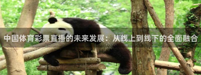 中国体育彩票直播的未来发展：从线上到线下的全面融合