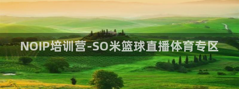NOIP培训营-SO米篮球直播体育专区