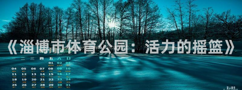 《淄博市体育公园：活力的摇篮》