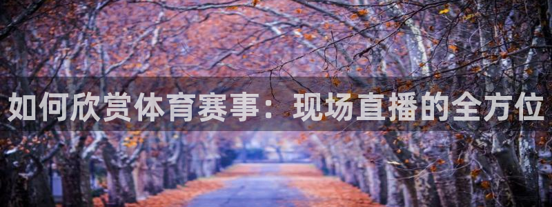 如何欣赏体育赛事：现场直播的全方位