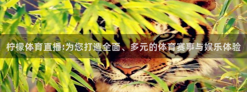 柠檬体育直播:为您打造全面、多元的体育赛事与娱乐体验