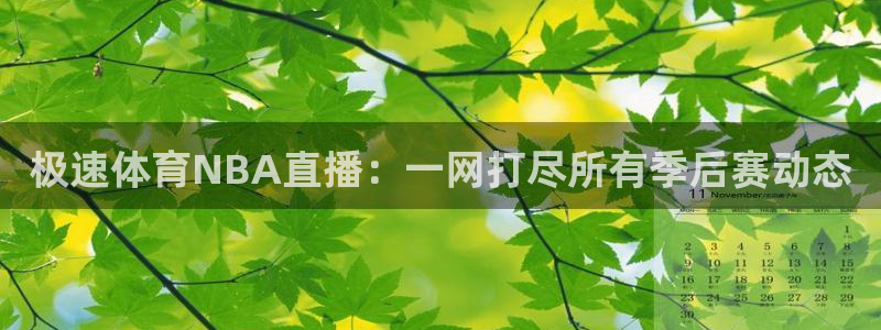 极速体育NBA直播：一网打尽所有季后赛动态