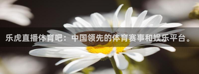 乐虎直播体育吧：中国领先的体育赛事和娱乐平台。