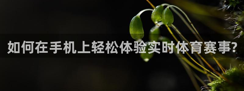 如何在手机上轻松体验实时体育赛事?